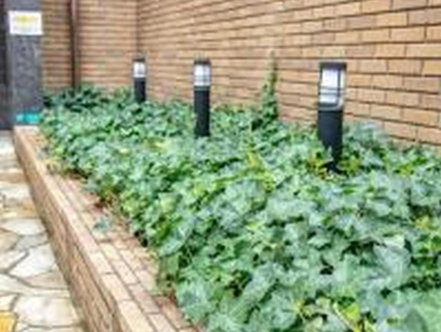 Yuki 1004 Apartman Oszaka Japán